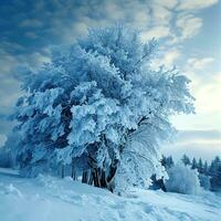 ai generato solitario albero sta coperto nel brina contro un' luminosa blu cielo, circondato di un' incontaminato nevoso paesaggio con impronte sparpagliato attraverso il primo piano. foto