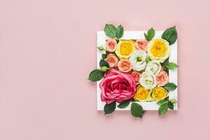 saluto carta Da donna giorno su marzo 8°. telaio con bellezza Rose su rosa sfondo. donna giorno naturale concetto foto