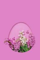 rosa Pasqua uovo sagomato buco con copia spazio su rosa sfondo. bellissimo giacinti. contento Pasqua concetto, saluto carta foto