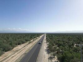 baja California sur Messico aereo Visualizza di cactus foresta vicino il mare foto