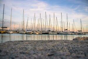 yachts nel il porta, barche a vela moderno acqua trasporto. bellissimo ormeggiato vela yachts nel il mare foto