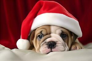 ai generato cucciolo nel un' Natale cappello su un' rosso sfondo. foto