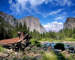 vista el capitan nel parco nazionale di yosemite foto