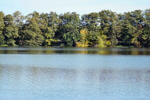 lago nel parco foto