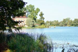 lago nel parco foto