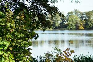 lago nel parco foto