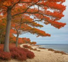 ai generato bellissimo autunno paesaggio con alberi e dune su il spiaggia foto