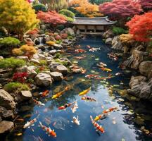 ai generato koi pesce nel giapponese giardino a autunno stagione. selettivo messa a fuoco. foto