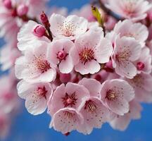 ai generato ciliegia fiorire nel molla, avvicinamento di rosa fiori foto