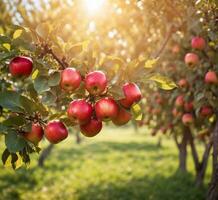 ai generato Mela albero con maturo rosso mele nel frutteto. maturo mele pronto per raccolto. foto