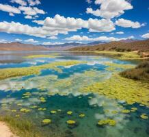 ai generato pangong lago, ladakh, jammu e Kashmir, India foto