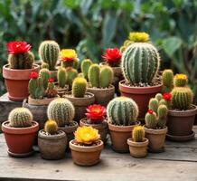 ai generato cactus nel fiore pentole su un' di legno tavolo. selettivo messa a fuoco. foto