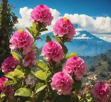 ai generato bellissimo rosa ibisco fiori nel Himalaya, Nepal foto