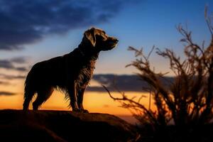 ai generato un' canino silhouette contro il ambientazione sole crea un' pittoresco scena foto