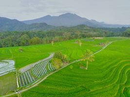 il bellezza di il mattina panorama con Alba nel Indonesia villaggio foto