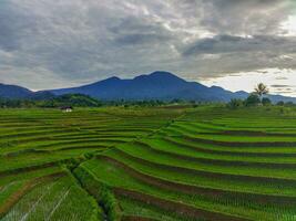 il bellezza di il mattina panorama con Alba nel Indonesia villaggio foto