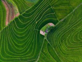 il bellezza di il mattina panorama con Alba nel Indonesia villaggio foto