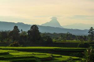 il bellezza di il mattina panorama con Alba nel Indonesia villaggio foto