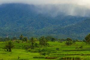 il bellezza di il mattina panorama con Alba nel Indonesia villaggio foto