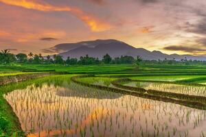 il bellezza di il mattina panorama con Alba nel Indonesia villaggio foto