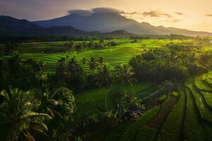 il bellezza di il mattina panorama con Alba nel Indonesia villaggio foto