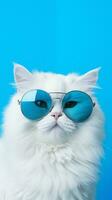 ritratto freddo gatto concetto disegno, bianca gatto indossare occhi bicchieri isolato su sfondo, blu struttura su sfondo, ios sfondo stile, foto