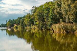 bellissimo Visualizza di il lago con blu cielo, nuvole, e verde alberi foto