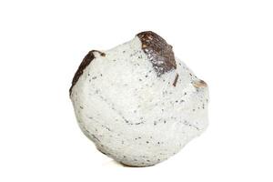 macro minerale pietra staurolite su un' bianca sfondo foto