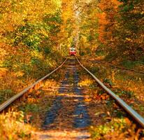 autunno foresta attraverso quale un vecchio tram cavalcate Ucraina foto