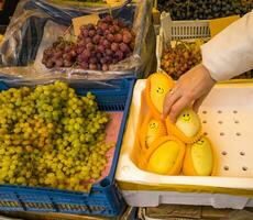 un' varietà di fresco frutta e verdure su Schermo a il mercato. donna raccolta manghi. cibo foto