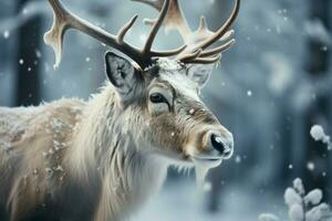 ai generato gelido eleganza renna vagare un' inverno foresta, incarnando il Magia di il stagione foto