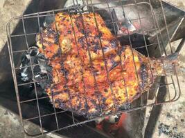 grigliato Tilapia con un' delizioso e leggermente speziato gusto foto