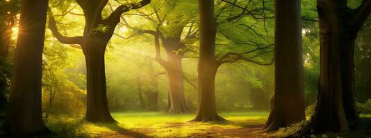 ai generato bellissimo raggi di luce del sole nel un' verde estate quercia foresta foto