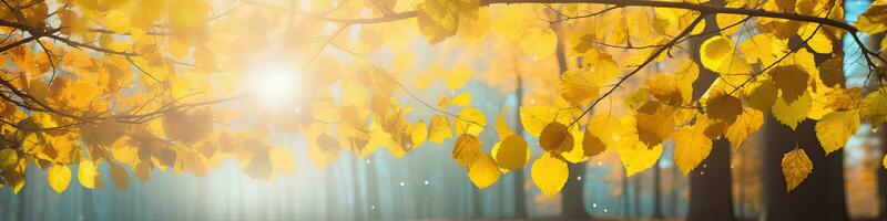 ai generato bellissimo autunno paesaggio con giallo autunno alberi e sole. colorato fogliame nel il foresta. naturale foto
