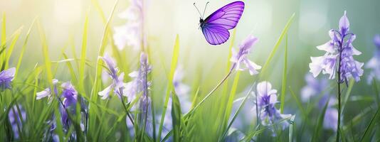 ai generato viola farfalla su selvaggio bianca viola fiori nel erba nel raggi di luce del sole, macro. primavera estate foto