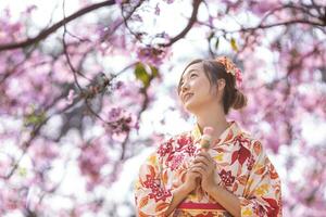 giapponese donna nel tradizionale chimono vestito Tenere dolce hanami dango dolce mentre a piedi nel il parco a ciliegia fiorire albero durante primavera sakura Festival foto