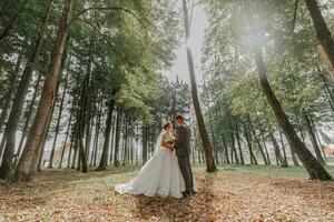 il sposa e sposo camminare mano nel mano attraverso il foresta. contento coppia. nozze foto. coppia nel amore. alto alberi, angolo ampio foto. Perfetto leggero foto