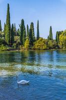 il lago di garda e la bellezza di punta san vigilio. foto