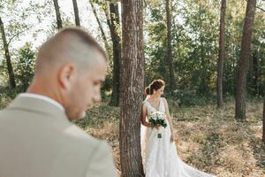 nozze foto nel natura. il sposa è in piedi vicino un' albero nel un' bellissimo vestire, Tenere un' mazzo di bianca Rose, guardare fuori uso. il sposo è nel il primo piano