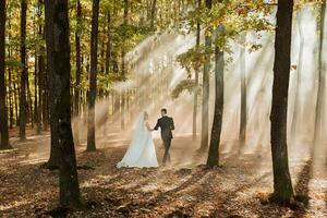 il sposa e sposo siamo danza contro il sfondo di un' fiaba nebbia nel il foresta. il raggi di il sole rompere attraverso il Fumo, un' fiaba nozze foto