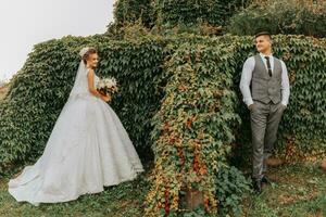 sposa e sposo nel il giardino tra verde. reale nozze concetto. elegante della sposa vestito con un' lungo treno. tenerezza e calma. ritratto fotografia foto