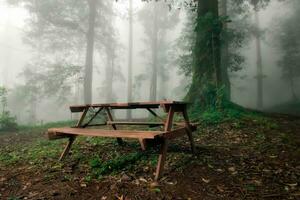 tavoli e sedie nel il nebbioso natura selvaggia. foto