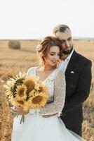 nozze ritratto di il sposa e sposo. il sposo abbracci il sposa a partire dal dietro, Il prossimo per un' balla di fieno. dai capelli rossi sposa nel un' lungo vestito con un' mazzo di girasoli. elegante sposo. estate foto