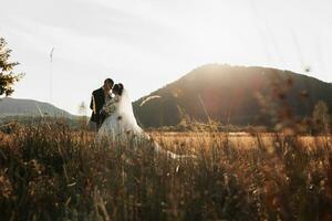 nozze foto. il sposa e sposo In piedi baci nel un' campo contro il sfondo di alberi e grande montagne. foto nel un' leggero chiave. coppia nel amore. elegante sposo