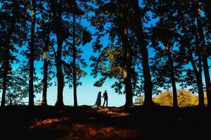 sposa sposo in piedi nel il parco e teneramente guardare a ogni altro foto