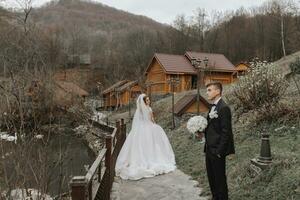 un' elegante sposa nel un' lussureggiante vestito e alla moda acconciatura sta con il sposo su un' molo nel un' parco vicino di legno case. cigni nuotare nel il lago. foto a partire dal il indietro