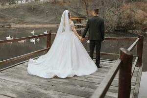 un' elegante sposa nel un' lussureggiante vestito e alla moda acconciatura sta con il sposo su un' molo nel un' parco vicino di legno case. cigni nuotare nel il lago. essi hold mani. foto a partire dal il indietro