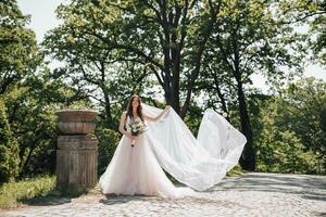 un' elegante giovane sposa nel un' bellissimo lussureggiante vestito di bianca e rosa colore con un' lungo velo. ritratto. primavera nozze. naturale trucco foto