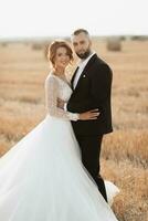 nozze ritratto di il sposa e sposo in piedi contro il sfondo di un' asciutto campo, abbracciare e guardare in il telecamera lente. dai capelli rossi sposa con Aperto le spalle. elegante sposo. estate foto