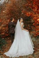 nozze coppia su un' camminare nel il autunno parco, medio ritratto, posto per testo foto